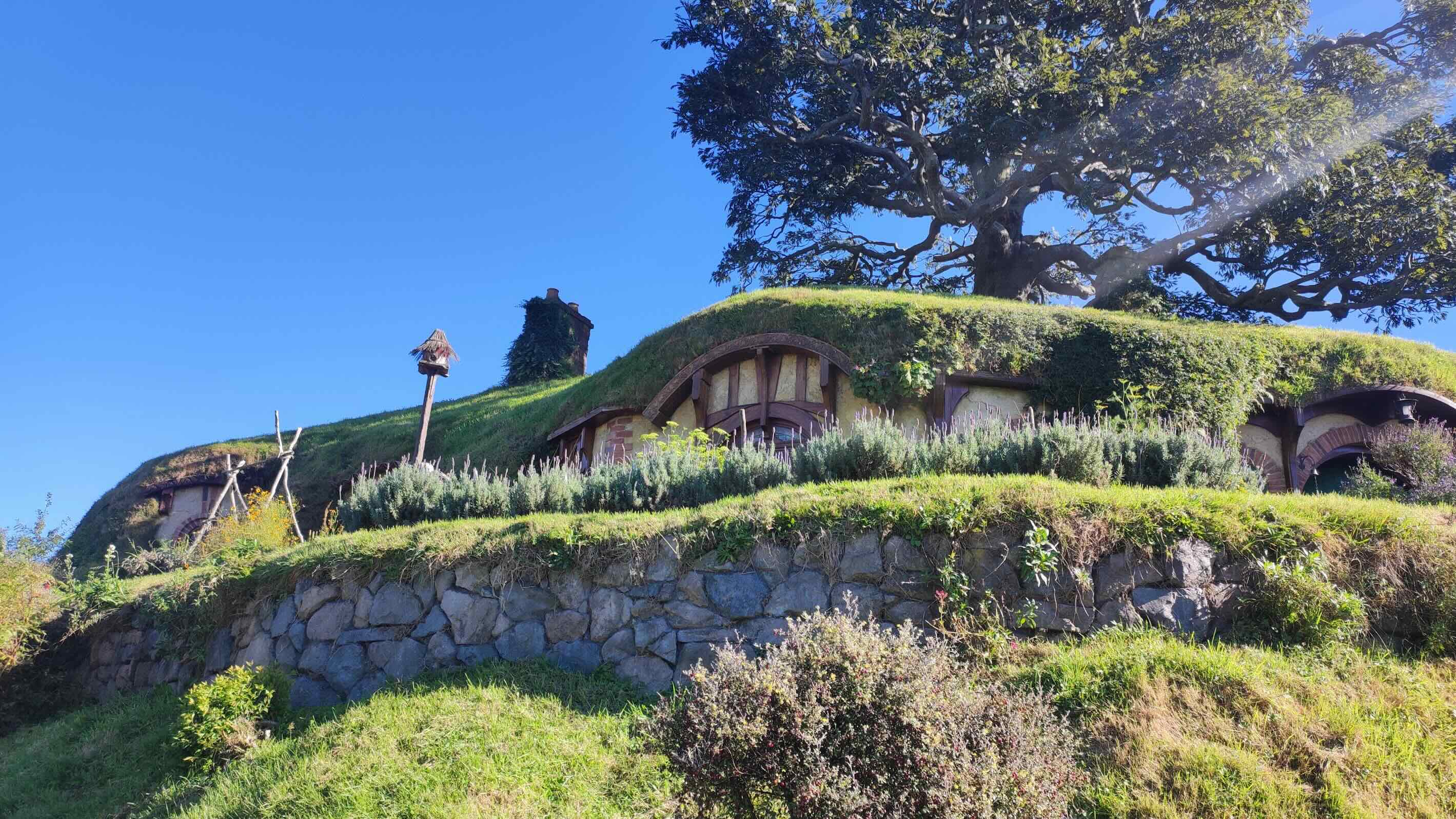 Hobbiton, New Zealand - 2024