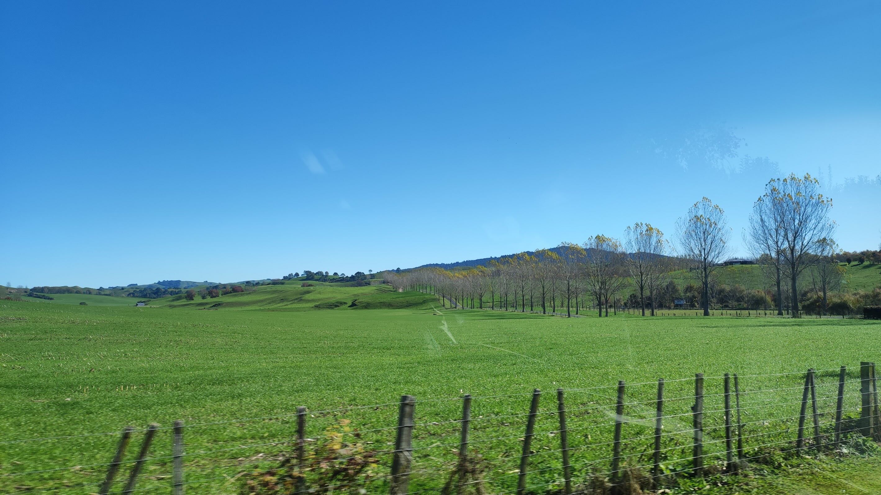 Hobbiton, New Zealand - 2024